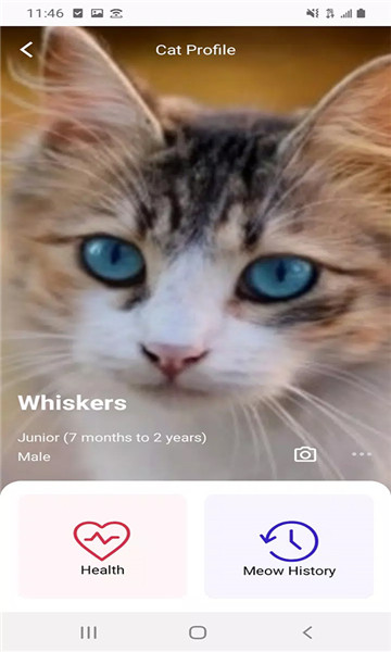 meowtalk˵ٷv2.5.1ͼ0