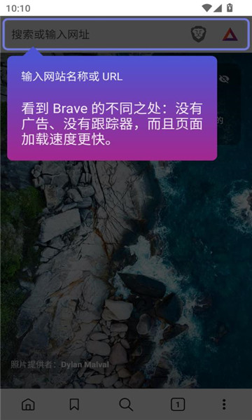 brave׿v1.71.123ͼ0