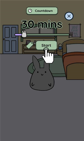 study bunnyv60.06ͼ0