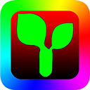 plus°v8.0.98