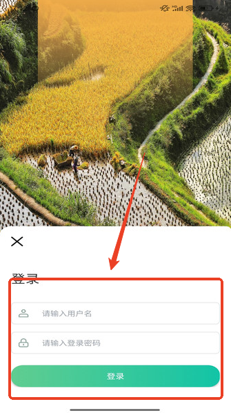 appٷ