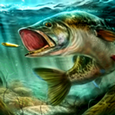 ռģٷ(Ultimate Fishing Simulator)v3.3