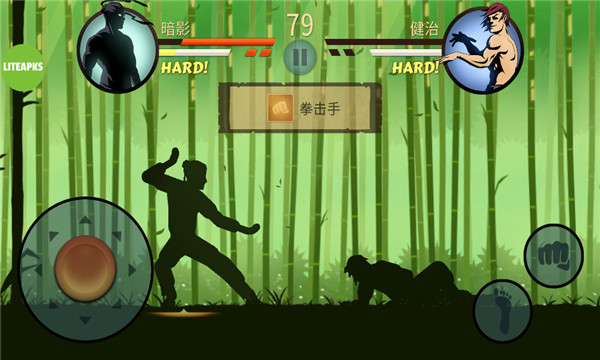 Ӱ2ٷ(Shadow Fight 2)v2.35.0ͼ2