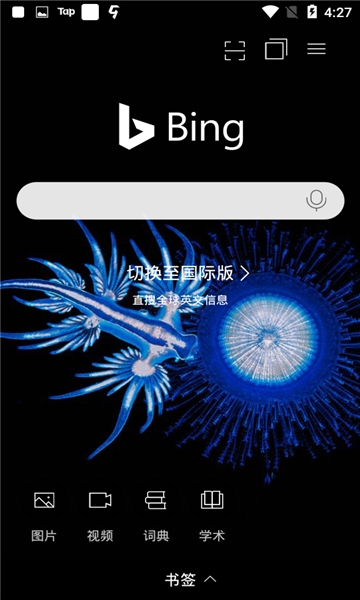 ΢Ӧֻ(Bing)