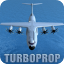 ģ׿(turboprop flight simulator)v1.31