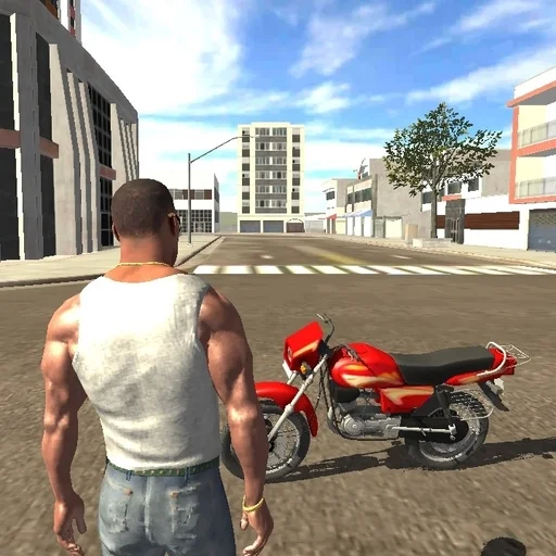 ӡĦгʻ3D°(indian bikes driving 3d)v46