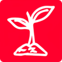 红豆苗安卓appv1.0.0
