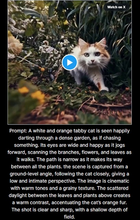 Sora by OpenAI官方版v0.1.5截图2 Sora by OpenAI官方版v0.1.5截图2