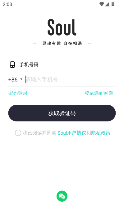 Soul官方版本截图2