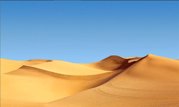 大强影视app官方截图2