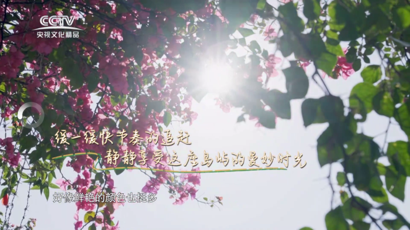 m3u��������׿���Ӱ��ͼ3