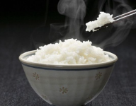 ��̫��TV�����°�v2.4.4