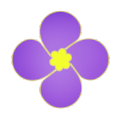 紫金草视频最新版本v4.6.0