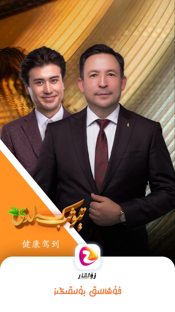 ZulKaRٷͼ2