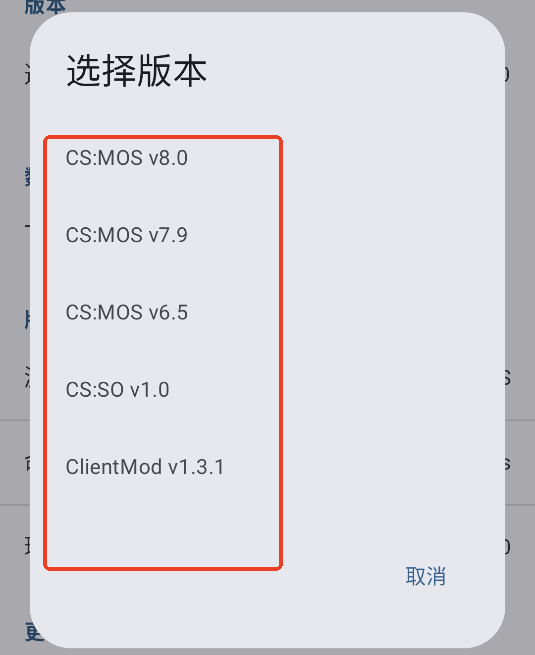 Rncs