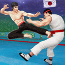 功夫大师安卓版(Karate Fighter)v3.5.18