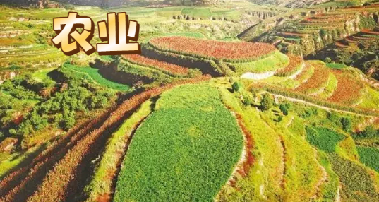 ũҵ