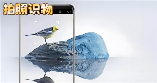ʶ