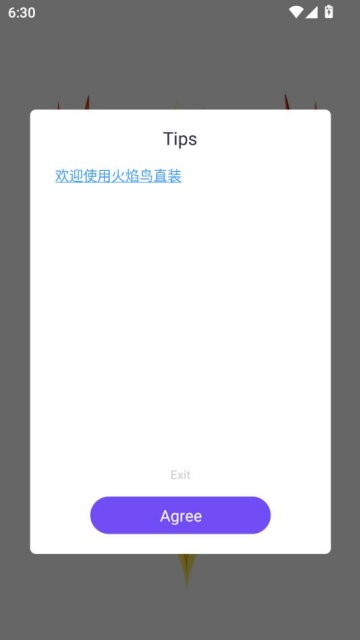 v2v1.0ͼ2