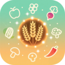 都来汇官方版v1.0.0