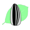 Ӱ°v1.0.0