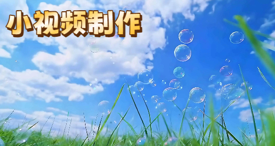 С��Ƶ����