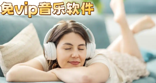 ��vip��������