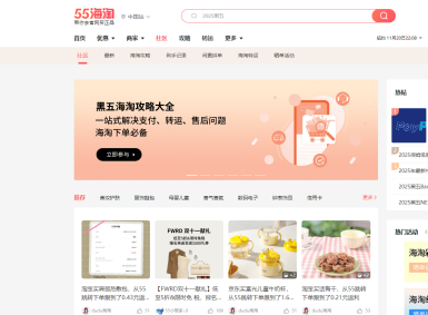 55��������ָ��