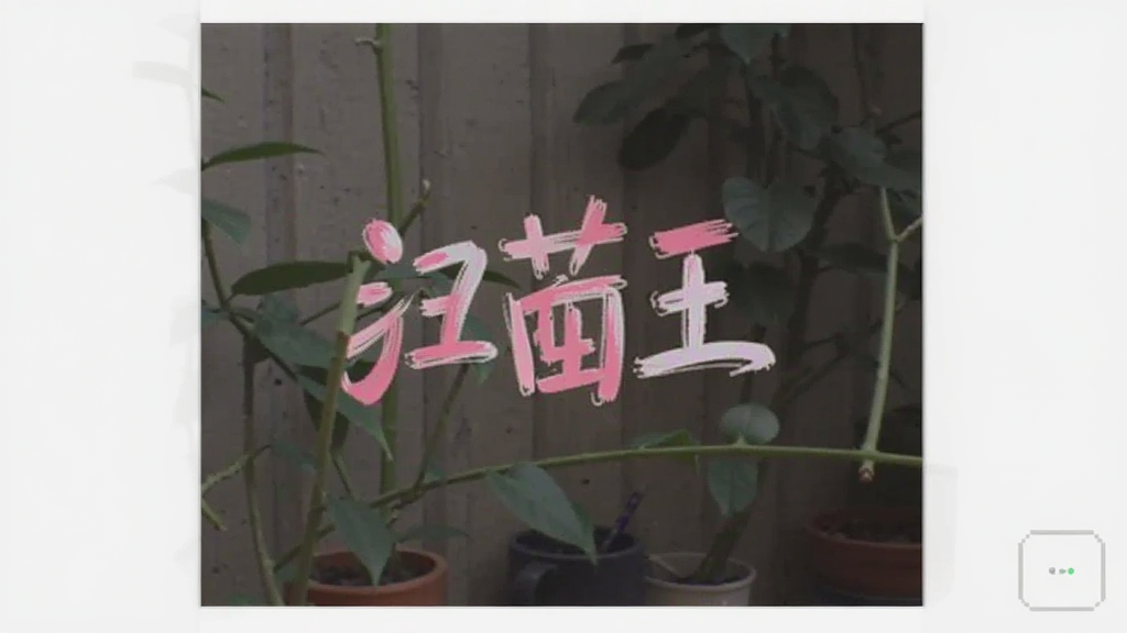 扫描王预览图