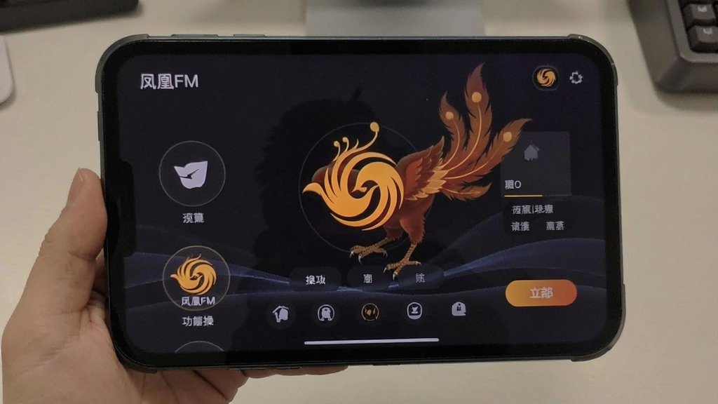 ���FM���ܲ�������չʾ