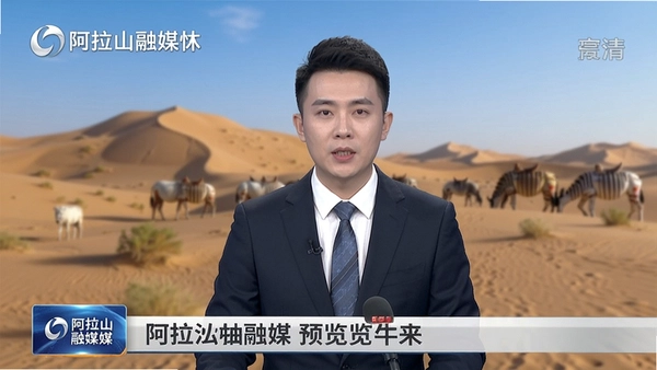 阿拉善融媒预览图
