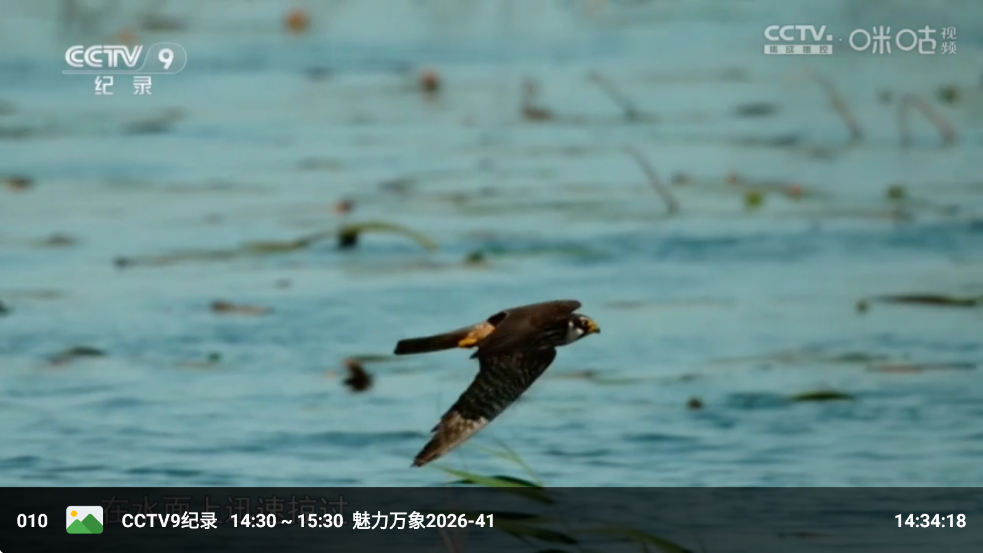 �ִ�ֱ����Ѱ�appv3.6.2��ͼ4