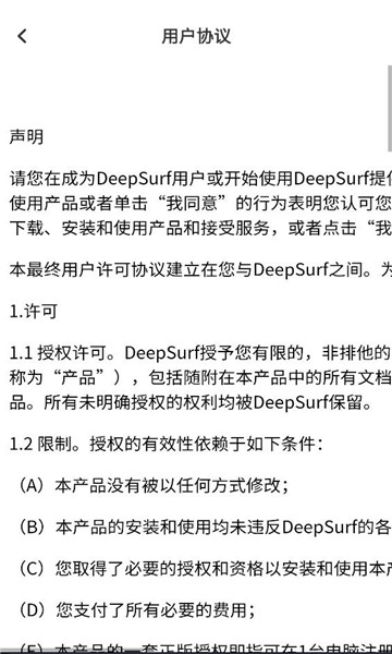 DeepSurf���°��ͼ2