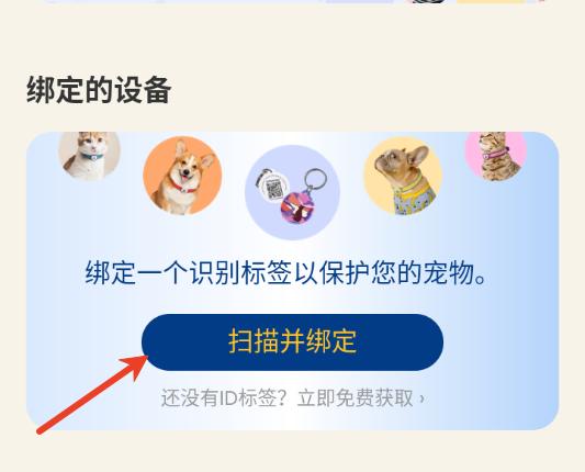 pawview�ٷ���