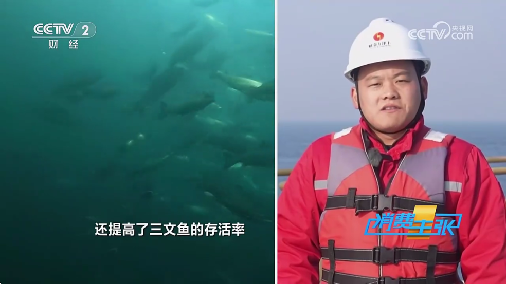 ������Ӱ����Ѱ�