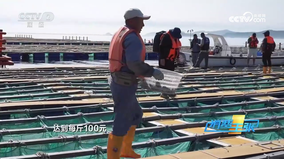 ���ӵ����°�����v1.98��ͼ3