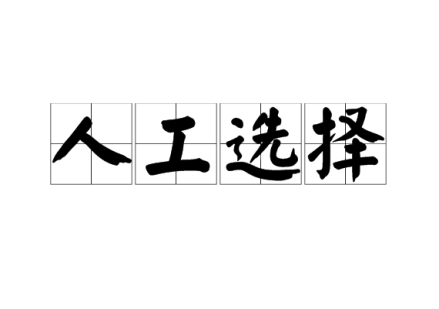 藏语录音转写大师语音识别功能预览图